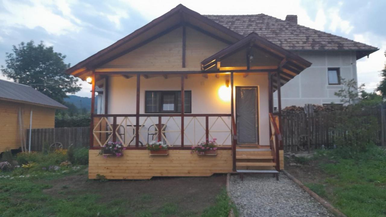 Baltina Parc Transfagarasan * קורטאה דה ארגס