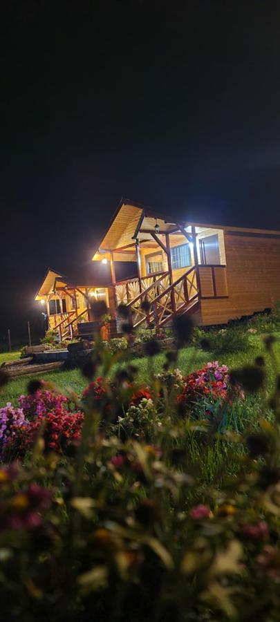 Baltina Parc Transfagarasan בית נופש