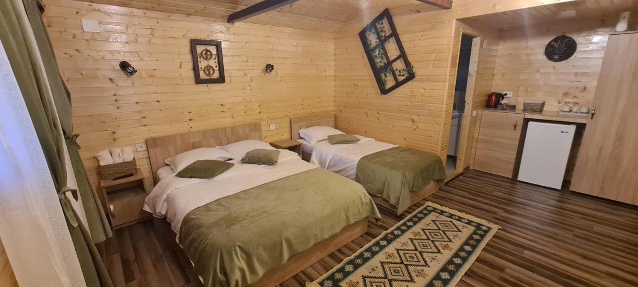 Holiday home Baltina Parc Transfagarasan *