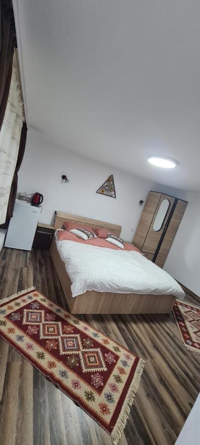 Baltina Parc Transfagarasan Holiday home *