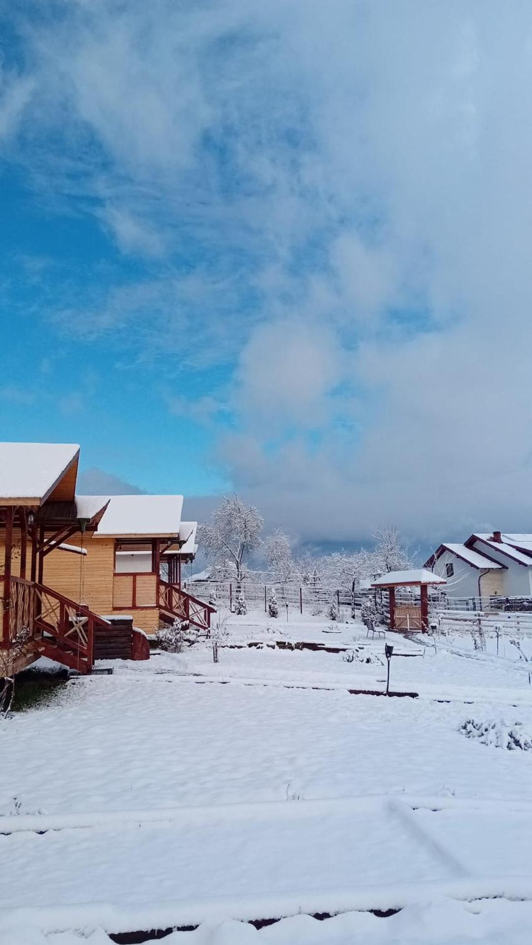 Baltina Parc Transfagarasan בית נופש