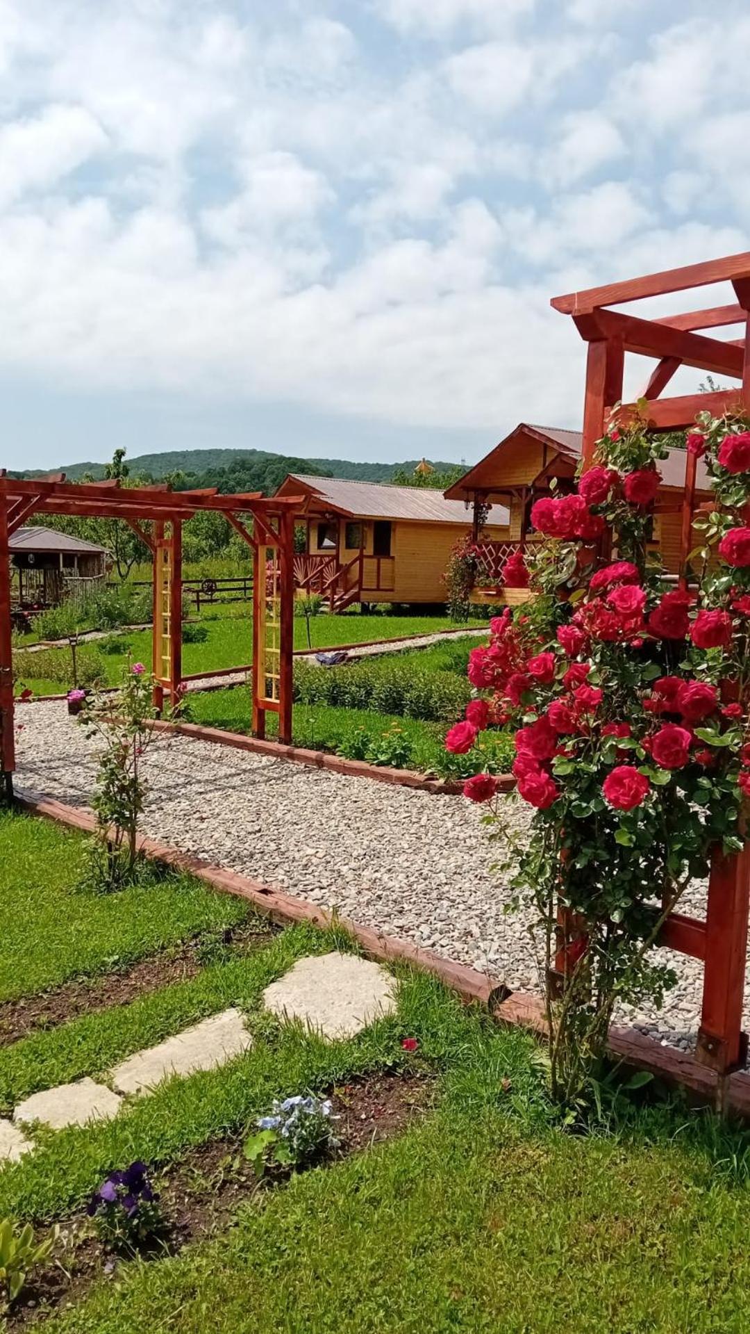Baltina Parc Transfagarasan Holiday home