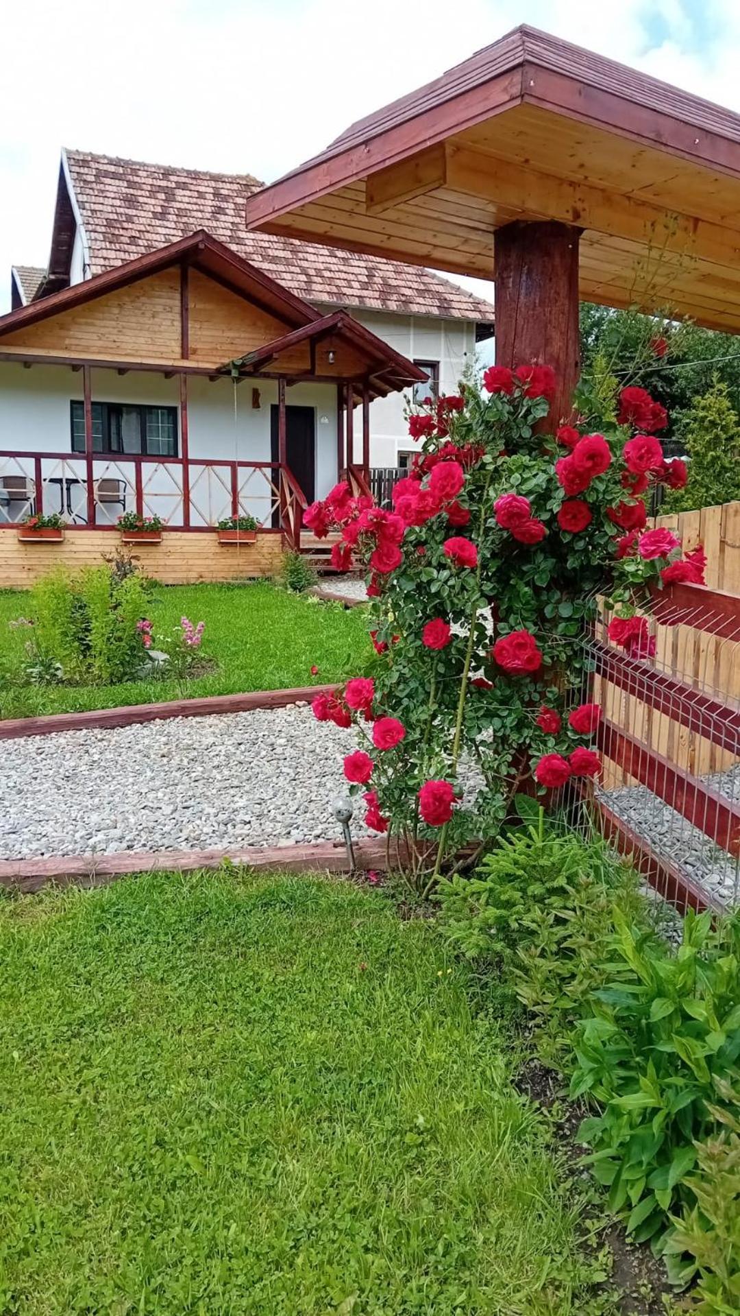 בית נופש Baltina Parc Transfagarasan *