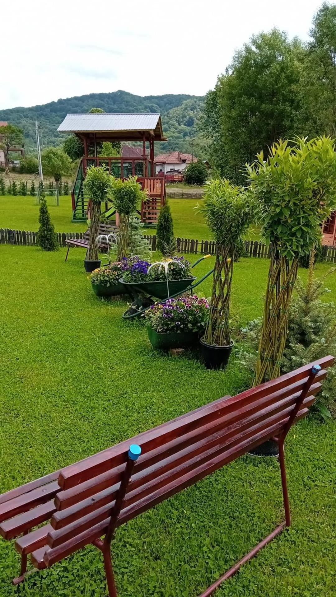 Baltina Parc Transfagarasan Holiday home *