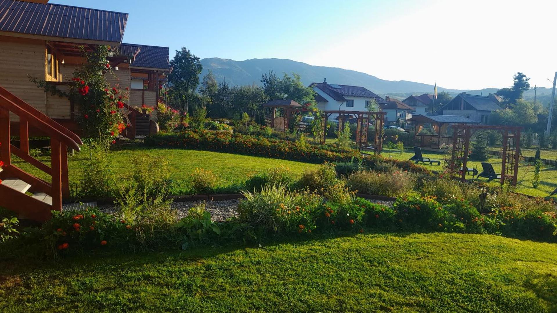 Holiday home Baltina Parc Transfagarasan