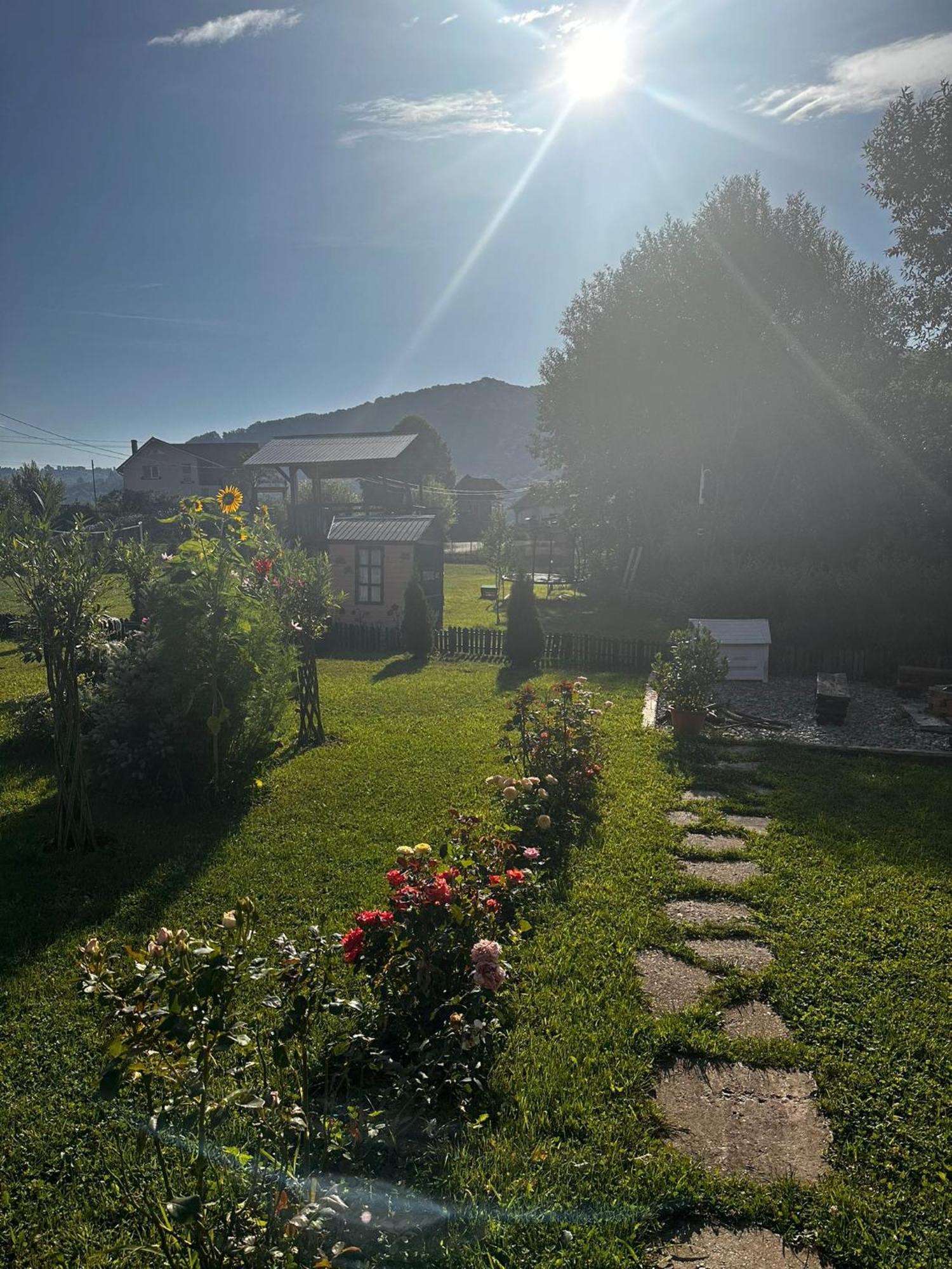 Baltina Parc Transfagarasan בית נופש *