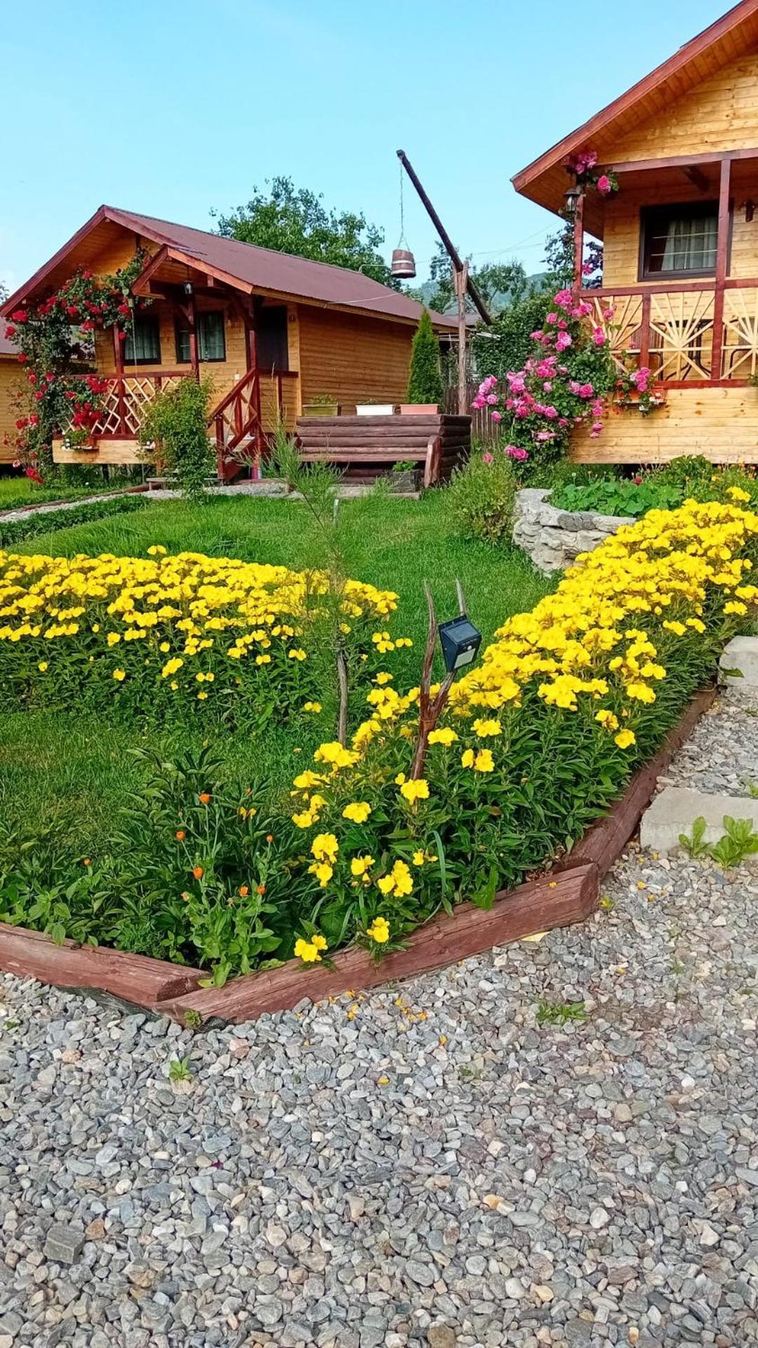 Baltina Parc Transfagarasan Holiday home *