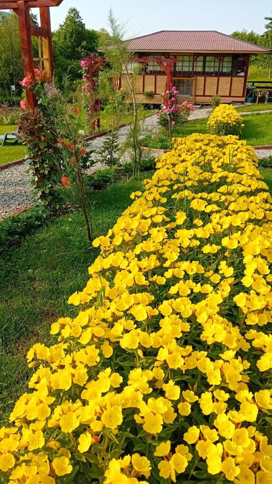 בית נופש Baltina Parc Transfagarasan קורטאה דה ארגס