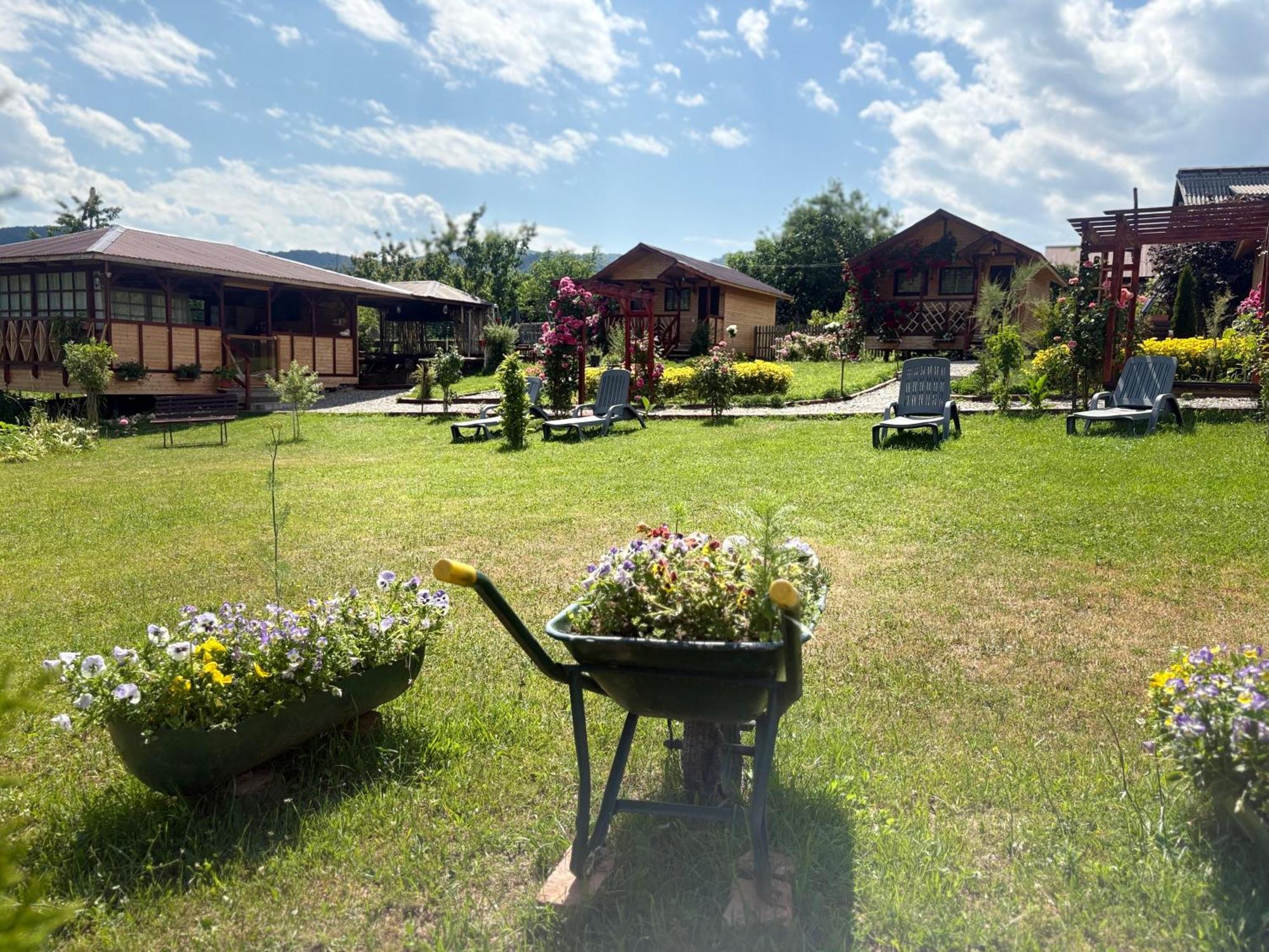 Holiday home Baltina Parc Transfagarasan