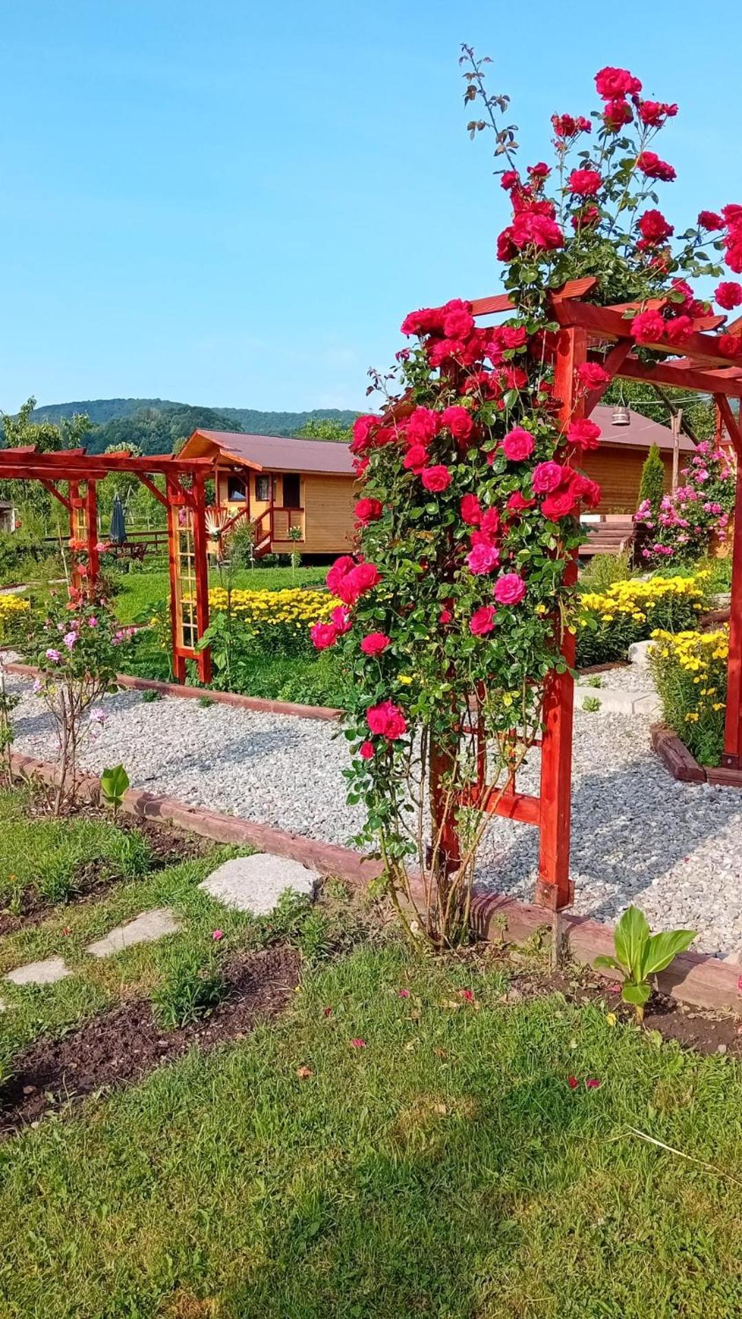 Baltina Parc Transfagarasan Holiday home Curtea De Arges