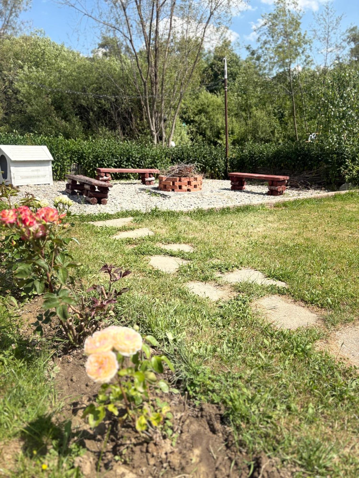 Baltina Parc Transfagarasan * קורטאה דה ארגס